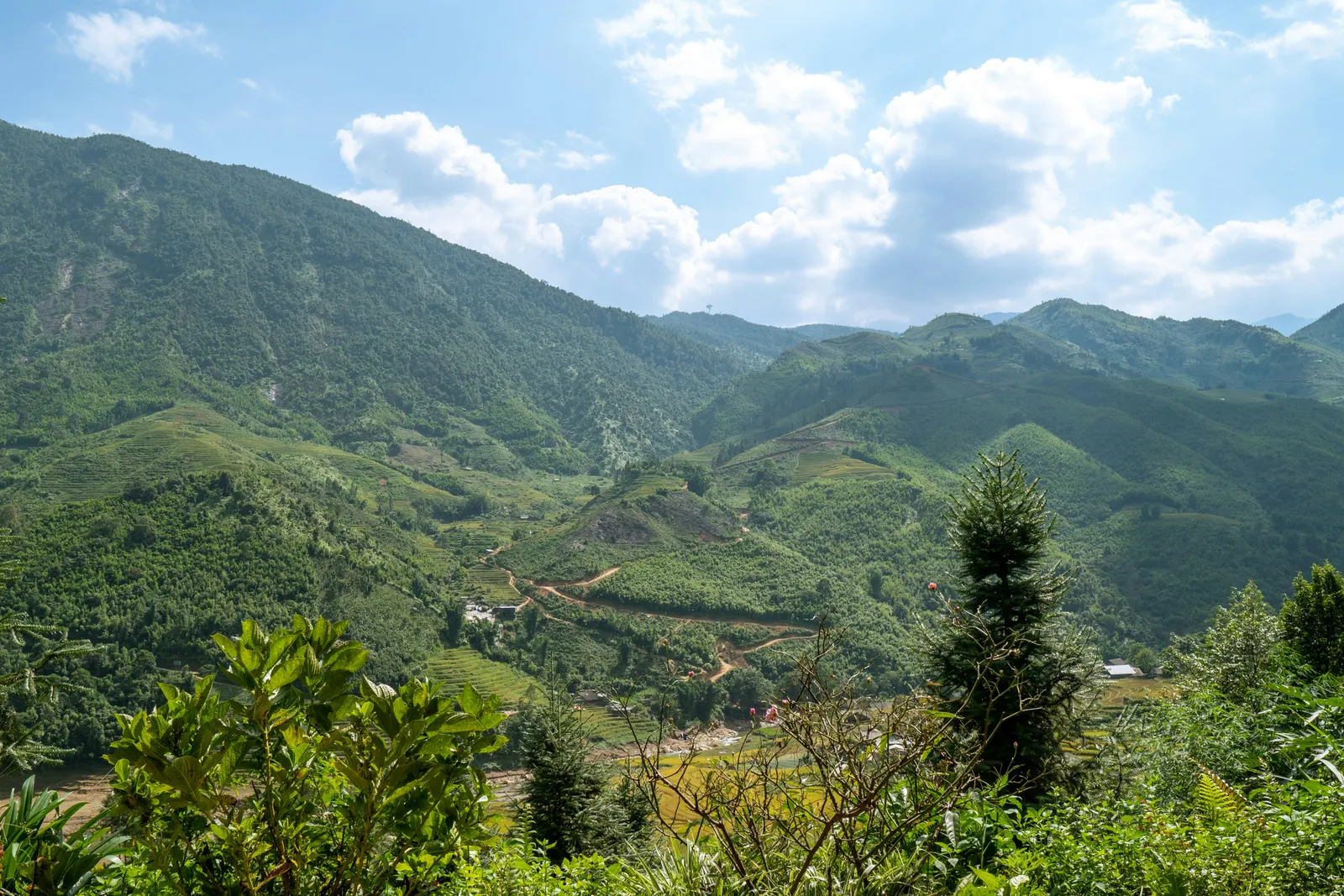 The green valley and layered ridges around Sa Pa